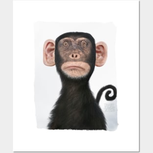 Disinterested Monkey without Drawing Posters and Art